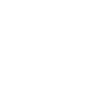 ev-icon-2