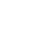 ev-icon-4