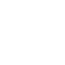 exp-icon-2